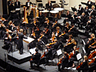 The Reno Philharmonic & Reno Chamber Orchestra are just two of the many organizations supported by Local 368.